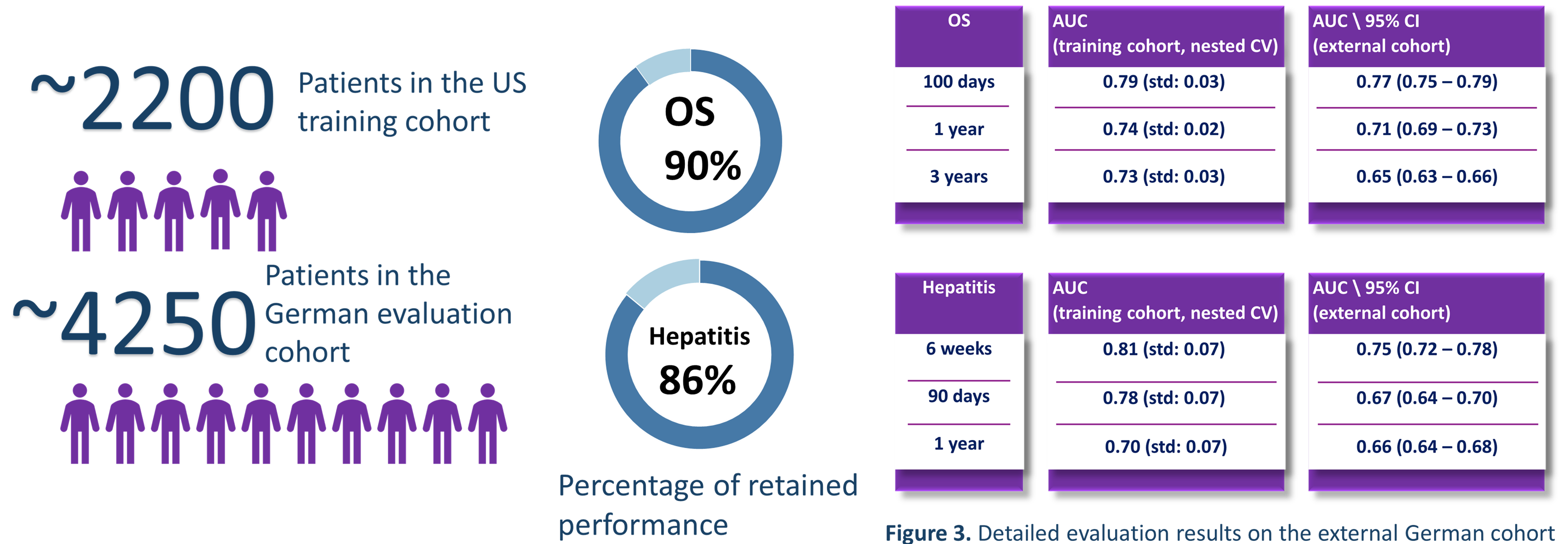 Slide showing the US training cohort of approximately 2,200 patients, a German external evaluation cohort of approximately 4,250 patients, and tables of AUC scores at multiple time horizons for overall survival and hepatitis prediction, with donut charts showing the percentage of training-cohort performance retained on the external cohort.