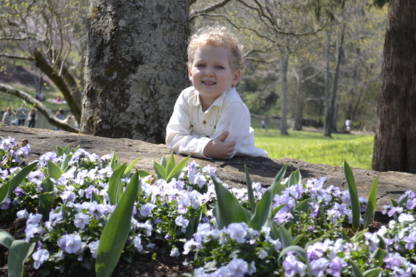 thumb-600-_DSC0087