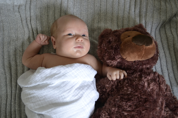 thumb-600-_DSC0935