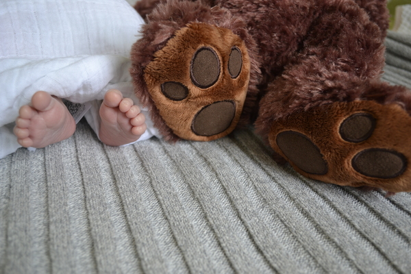 thumb-600-_DSC0954