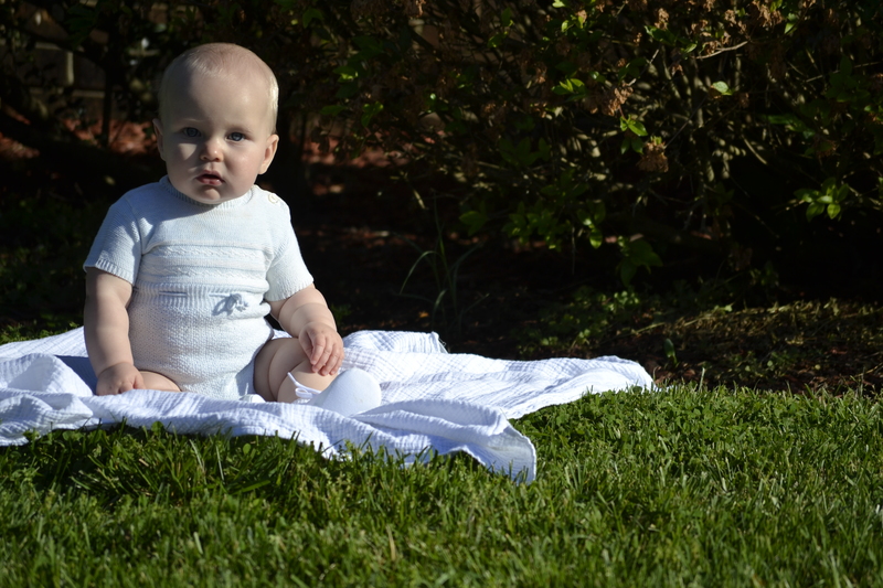 small-_DSC0151