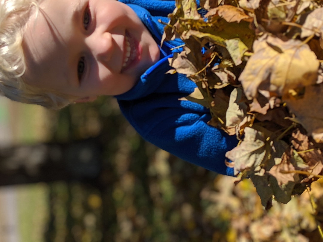 00100lPORTRAIT_00100_BURST20191109120514477_COVER.jpg