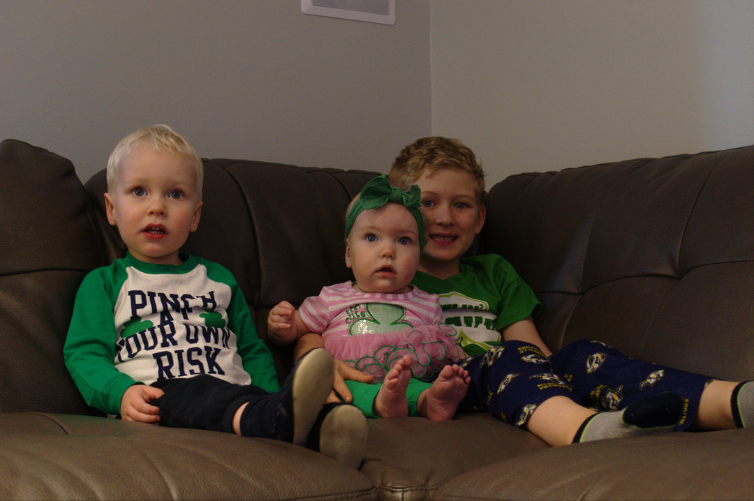 2019-03-17-1703_154.NEF