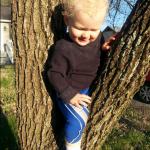Chasing squirrels