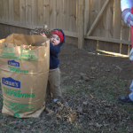Cleaning up leaves