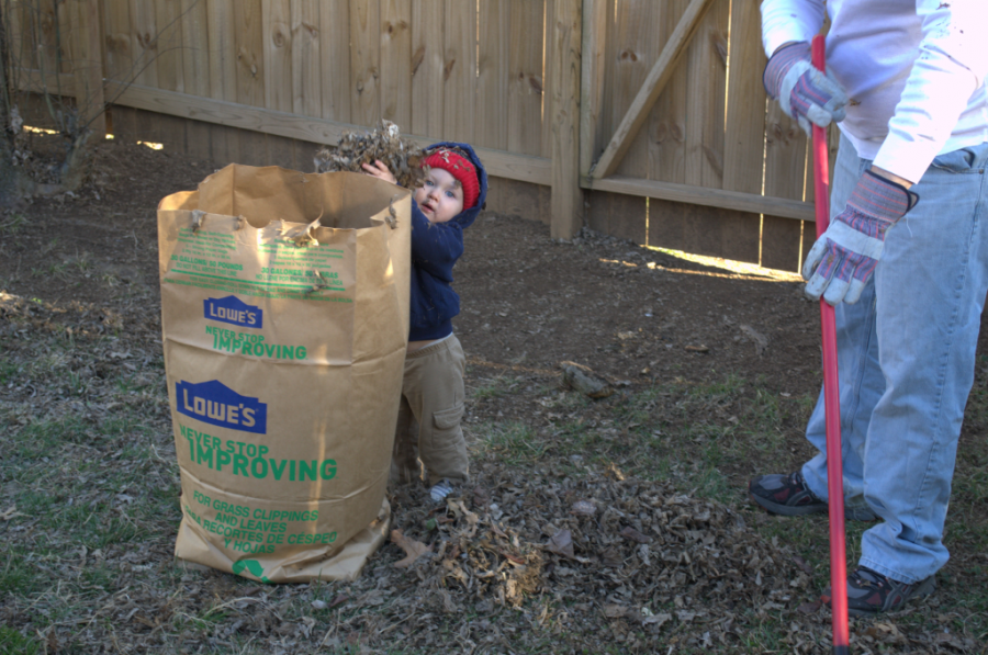 Cleaning up leaves