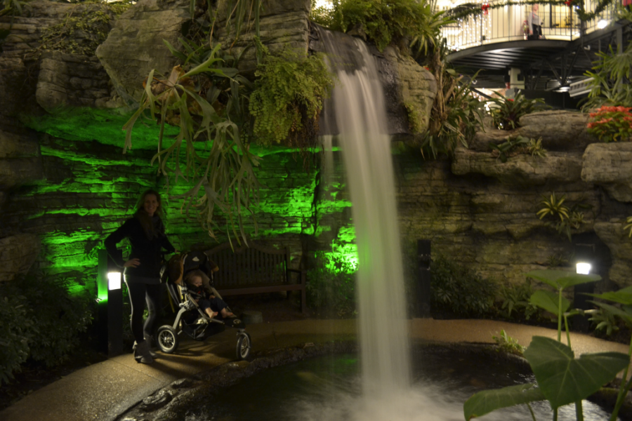 Practicing shooting in raw format.  This is the only one of those 2000 raw photos I actually edited though.