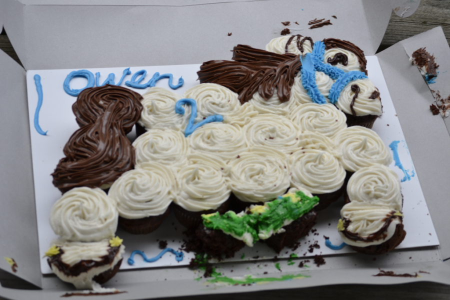 A pony Cake