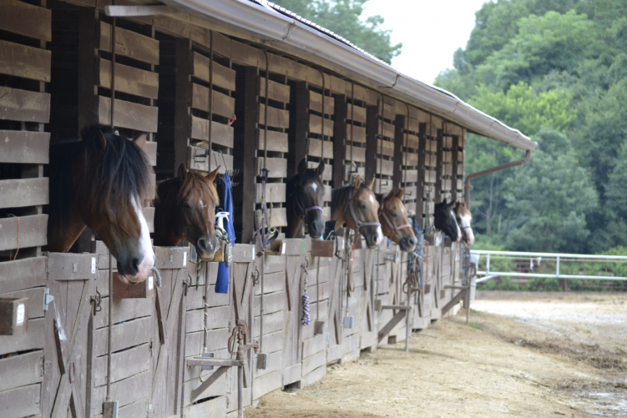 The Stables