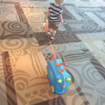 Apparently horns aren't a problem for TSA