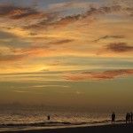 _DSC1233