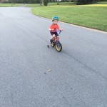 thumb-600-IMG_0384_2