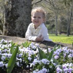 thumb-600-_DSC0087
